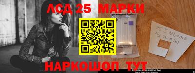 ешки Можга