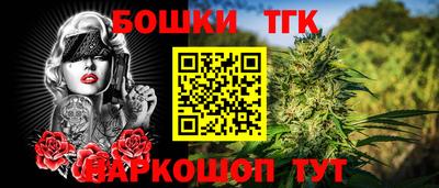 гашик Можайск