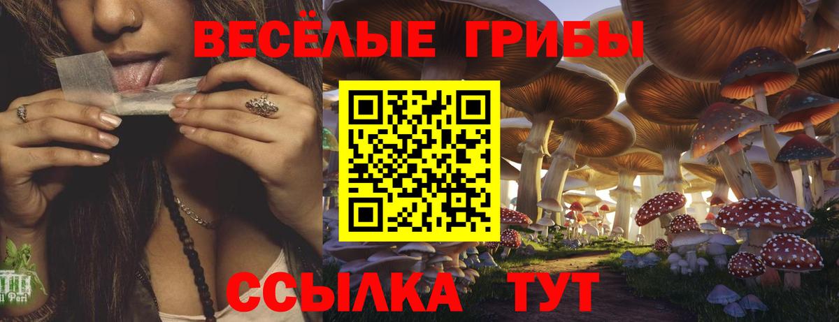 Истра  Псилоцибиновые грибы ЛСД  Вход с VPN 